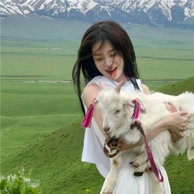 小白旗的风波